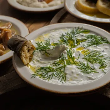 צזיקי יוגורט - תמונה נוספת